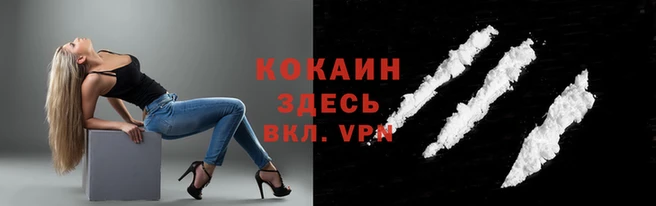 мяу мяу мука Карпинск