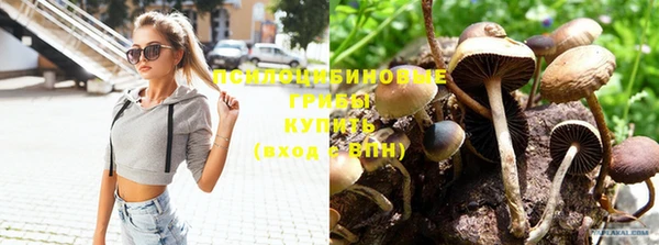 мдпв Кинешма